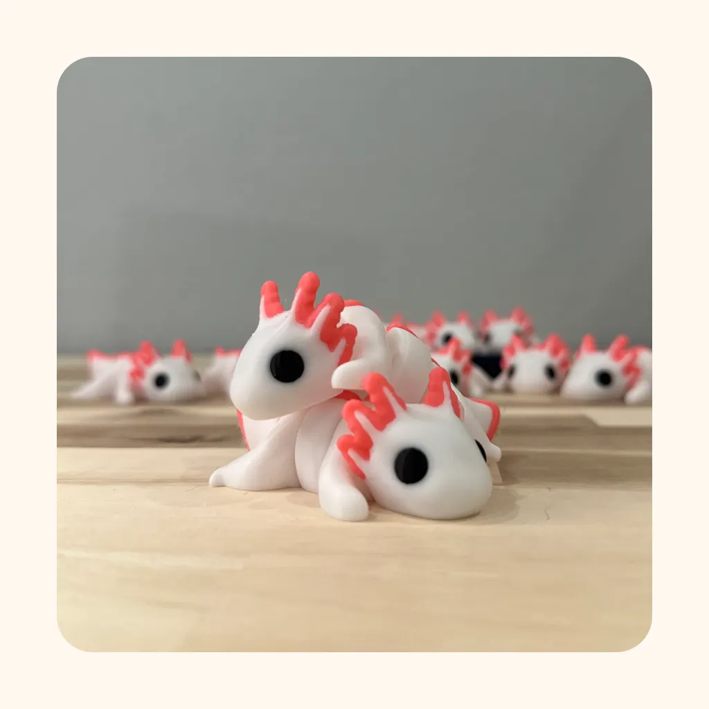 Axolotl — photo 5