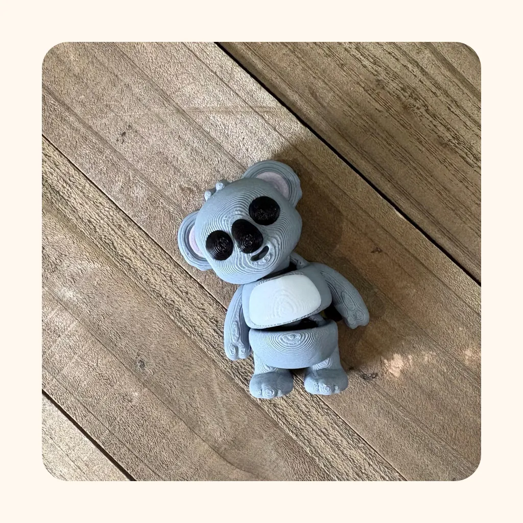 Koala — photo 3
