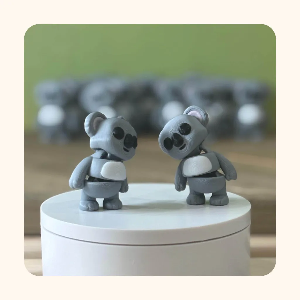Koala — photo 5