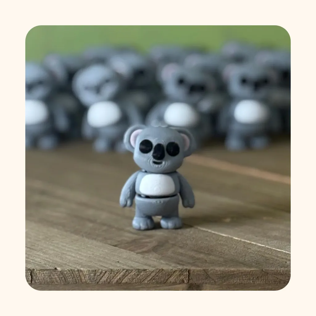 Koala — photo 6