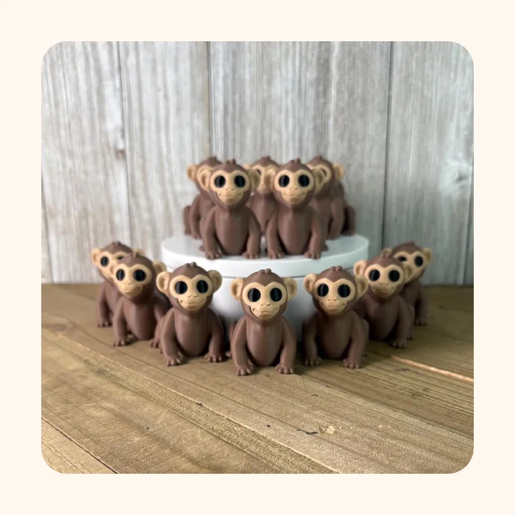 Monkey — photo 2