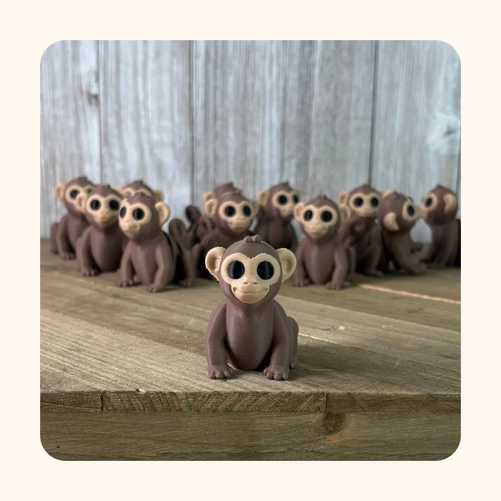 Monkey — photo 4