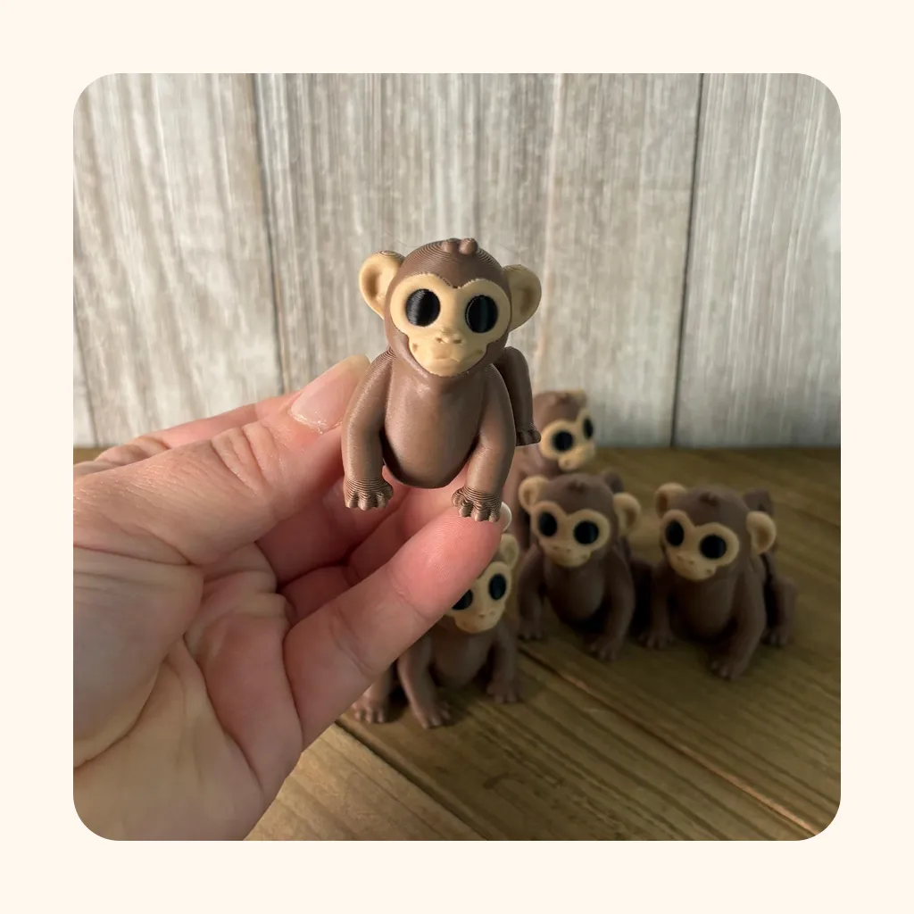 Monkey — photo 5