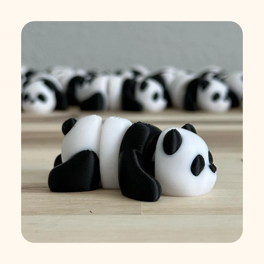 Panda — photo 2