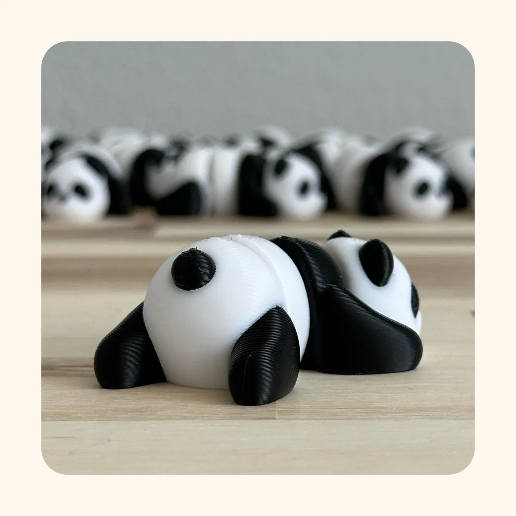 Panda — photo 3