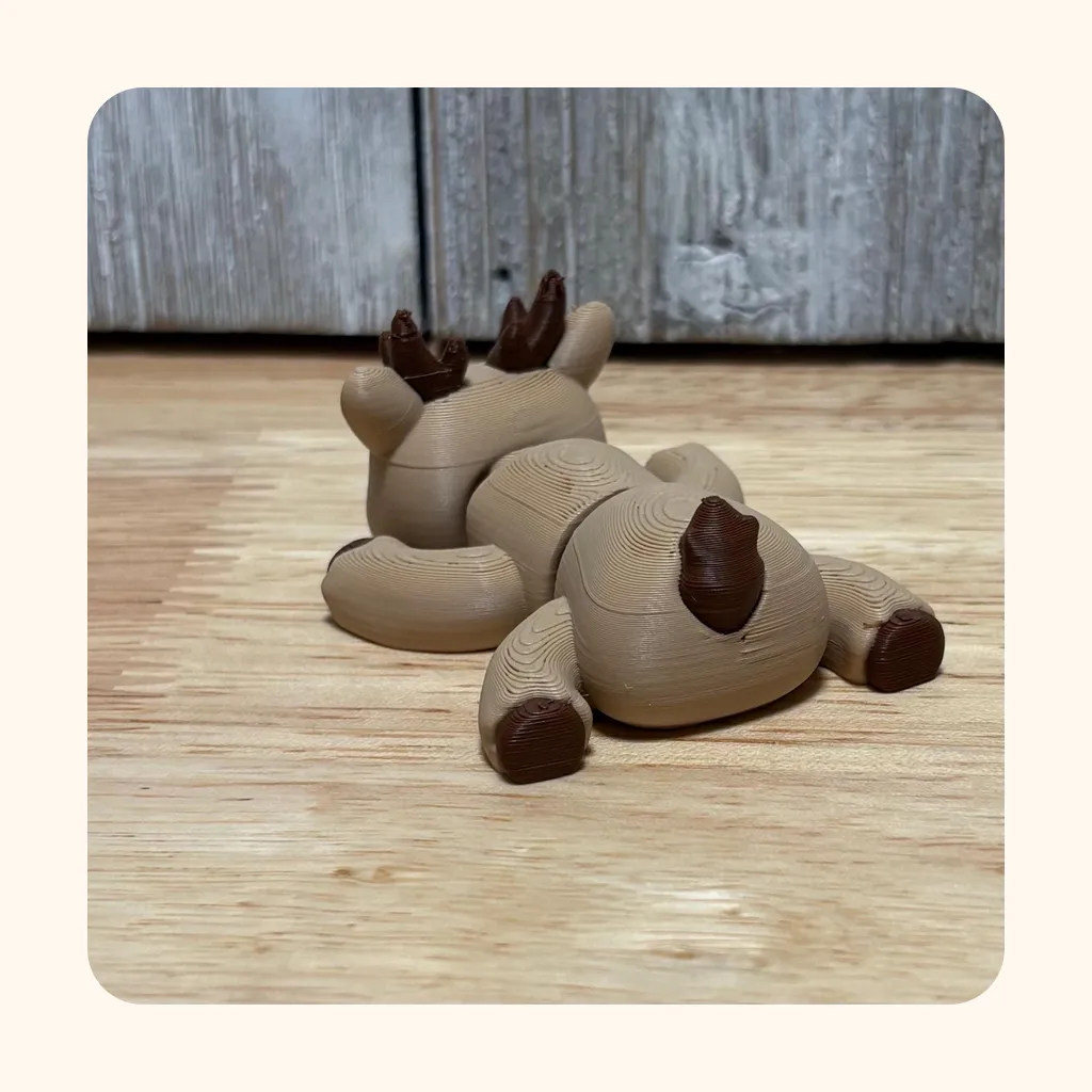 Reindeer — photo 4